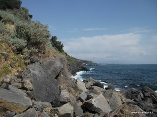 Acqua del Ferro